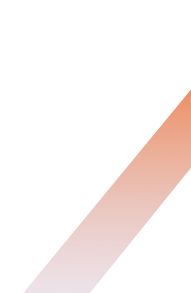 Vector 24