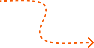 Vector 33